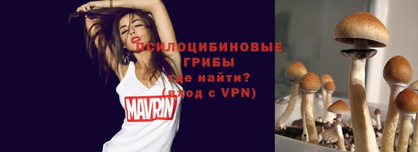 ГАЛЛЮЦИНОГЕННЫЕ ГРИБЫ Гусь-Хрустальный